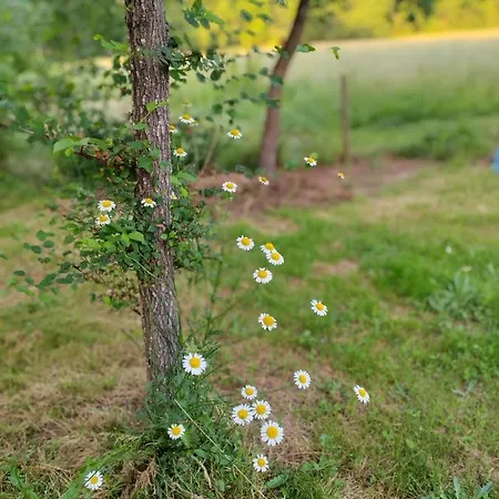 招待所 D' Hotes Des Glands '