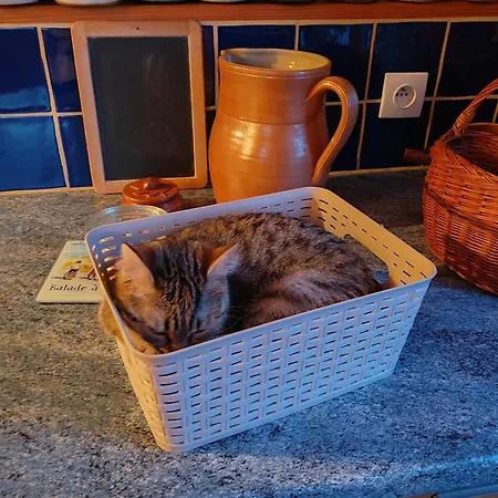 D' Hotes Des Glands ' Saint-Martin-de-Gurçon