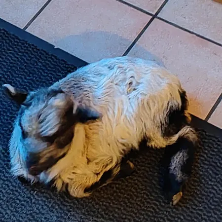 D' Hotes Des Glands ' 3* Saint-Martin-de-Gurçon