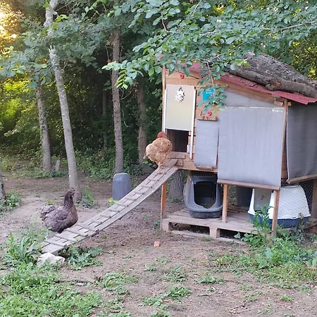 招待所 D' Hotes Des Glands ' Saint-Martin-de-Gurçon
