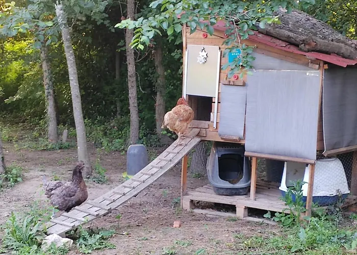 Pensjonat D' Hotes Des Glands ' Saint-Martin-de-Gurçon